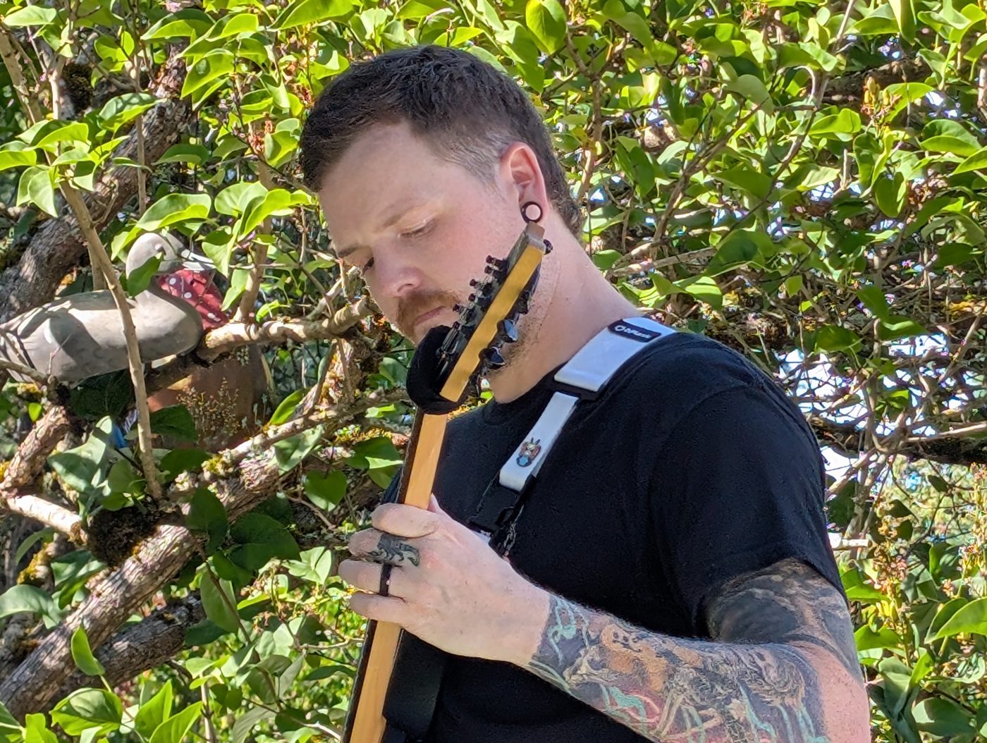 A guitarist playing in a backyard surrounded by greenery